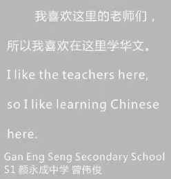 Gan Eng Seng Secongdary School 的学生曾伟峻说